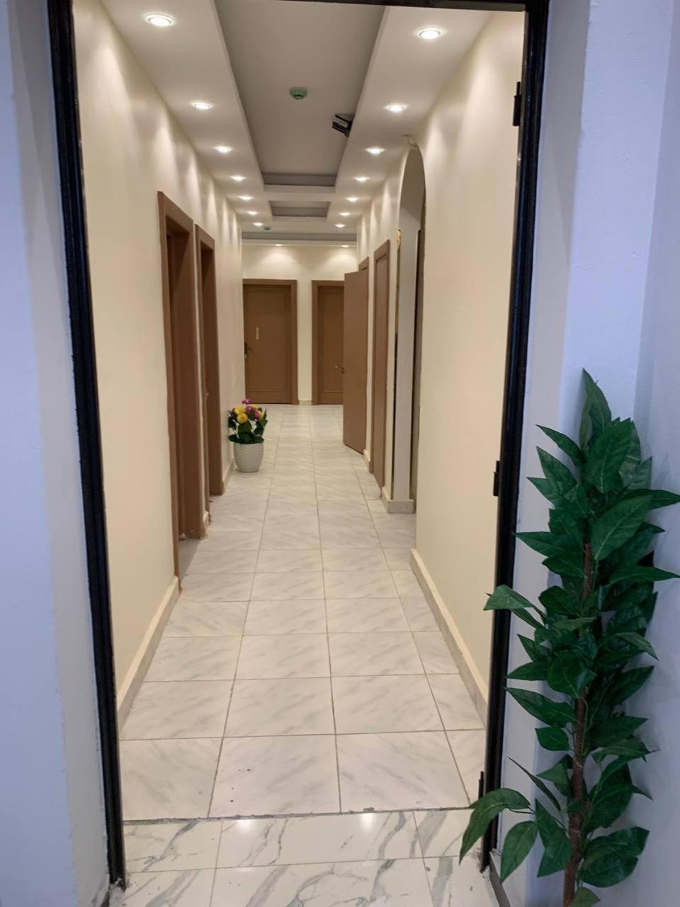Garden City Hotel カイロ エクステリア 写真